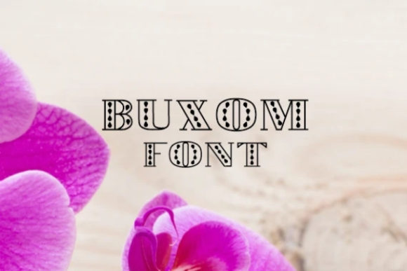 Enhance Your Web Design with Buxom, a Bold Display Font