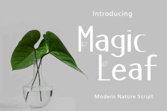 Enhance Your Web Design with Magic Leaf Font